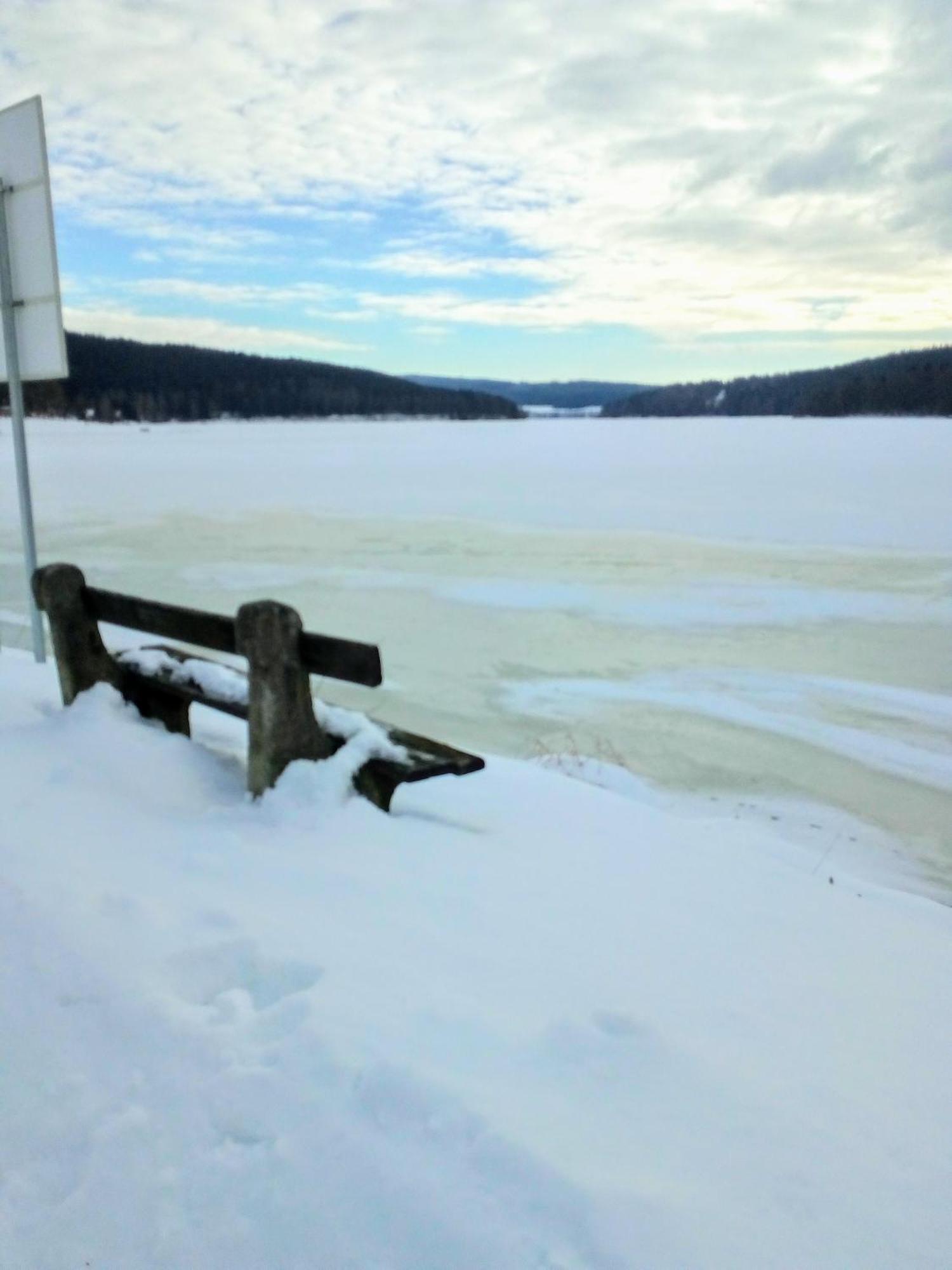 Apartman Leo Nr. 8 Lipno Nad Vltavou Εξωτερικό φωτογραφία